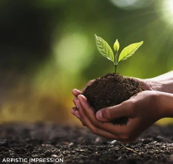 30000+ Trees Planted